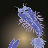 The Bonnie fish got solved 🐰🐟