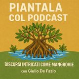 EP7- DISCORSI INTRICATI COME MANGROVIE CON GIULIO DE FAZIO