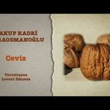 Yakup Kadri Karaosmanoğlu - Ceviz (1) - Sesli Kitap Dinle
