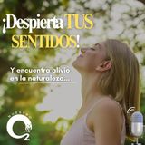 NUESTRO OXÍGENO Despierta tus sentidos y encuentra alivio en la naturaleza