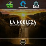 NUESTRO OXÍGENO La nobleza en la naturaleza y en la vida