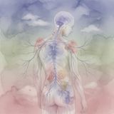 Chronic Pain 101: When Pain Persists — Nervous System