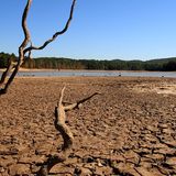 Il cambiamento climatico rende la siccità 20 volte più probabile