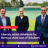 Ashton Hurn wins pre-selection for safe Liberal seat of Schubert