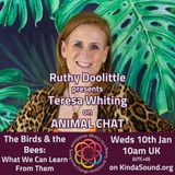 The Birds & the Bees: What We Can Learn From Them | Animal Chat with Ruthy Doolittle
