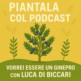 EP3 - LUCA DI BICCARI VORREI ESSERE UN GINEPRO