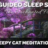 The Enchanted Forest - A Guided Sleep Story Meditation