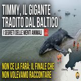 TIMMY non potrá essere salvato