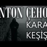 Kara Keşiş  Anton Çehov sesli kitap tek parça Akın ALTAN