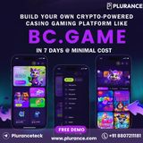 Plurance - One Stop Solution To Create a Complete Crypto Casino Game like BC.Game