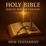 The Holy Bible (Douay-Rheims) | New Testament | Timeless Catholic Translation Part 3