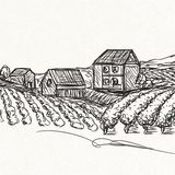 Giovanna Ceriotti "Quando ancora non ero"