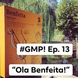 Boa Boa Benfeita! - The ‘Good Morning Portugal!' Podcast - Episode 13