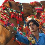'L’influenza del cammello' e l’eredità dei Mondiali in Qatar (di Teresa Carbone)