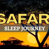 Deep Sleep Safari Meditation _ Fall Asleep Fast with a Peaceful African Night Journey