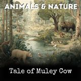 Tale of Muley Cow - Arthur Scott Bailey