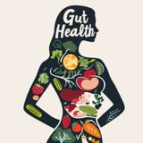 The Gut-Brain Connection - How Your Digestive System Impacts Mental Health
