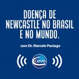 EP #5 - Doença de NewCastle no Brasil e no Mundo - PARTE 02