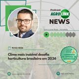 Paraná aumenta participação na produção nacional de grãos