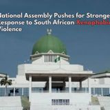 National Assembly Pushes for Stronger Response to South African Xenophobic Violence