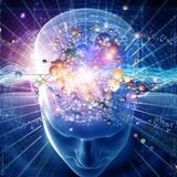 TU CEREBRO #Documental #neurociencia #podcast