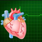 S56E21: What Is The Difference Between The Figurative Heart And The Mind