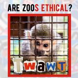 Should Zoos Exist?