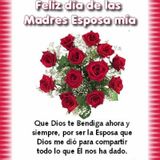 Querida esposa