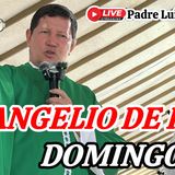 93-26_ Homilía De Hoy Domingo🙏 El Secreto Para Dar Frutos Espirituales_ Padre Luis Toro