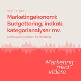Afsnit #41: Marketingøkonomi: Budgettering, indkøb, kategorianalyser mv.