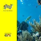 E26 - Mari e oceani: surriscaldamento delle acque, rifiuti, overfishing, barriere coralline