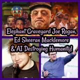Elephant Graveyard Joe Rogan, Ed Sheeran Macklemore & AI Destroying Humanity!