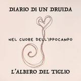 2 - L'Albero del Tiglio