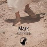 Mark | The Puzzling Gospel - Mark 6