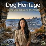 Dog Heritage - Sacred Hounds of the Desert and the Nile