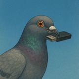 In 2009, a South African pigeon named Winston did the unthinkable: he beat the internet in a data race