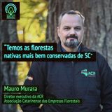 Santa Catarina possui as florestas nativas mais bem conservadas do país