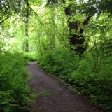 Trusting the Path