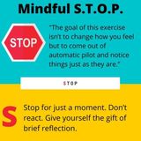 ThienTriLieu #12 Mindful S.T.O.P