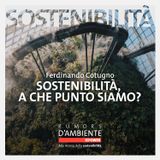 Ferdinando Cotugno: Sostenibilità, a che punto siamo?