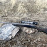 30-06 v 45-70 Clash or American Classics from Warfare to Hunting