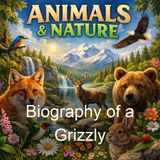 Biography of a Grizzly - Ernest Thompson Seton