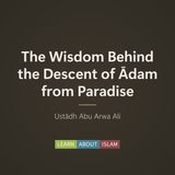 The Wisdom Behind the Descent of Ādam from Paradise – Ustādh Abu Arwa Ali