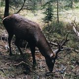 Ochrona przyrody w województwie świętokrzyskim