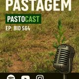 Parte 2 - forragens
