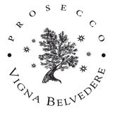 Vigna Belvedere - Elisabetta Cichellero
