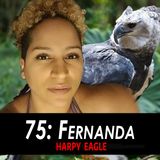 75 - Fernanda the Harpy Eagle