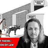 Create Your Reality, Not Theirs - Understanding the Illusion of Law | Bradley Freedom