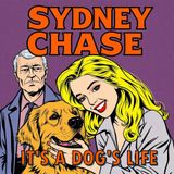 What the Dog Witnessed: A Psychological Crime Thriller "It's A Dogs Life"
