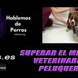 EPISODIO #80: Superar el miedo al veterinario